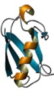 The Effect of Ubiquitin Like Protein-Proteasome System on the Drug Resistance of Isoniazid Mono-Resistant <i>Mycobacterium tuberculosis</i>